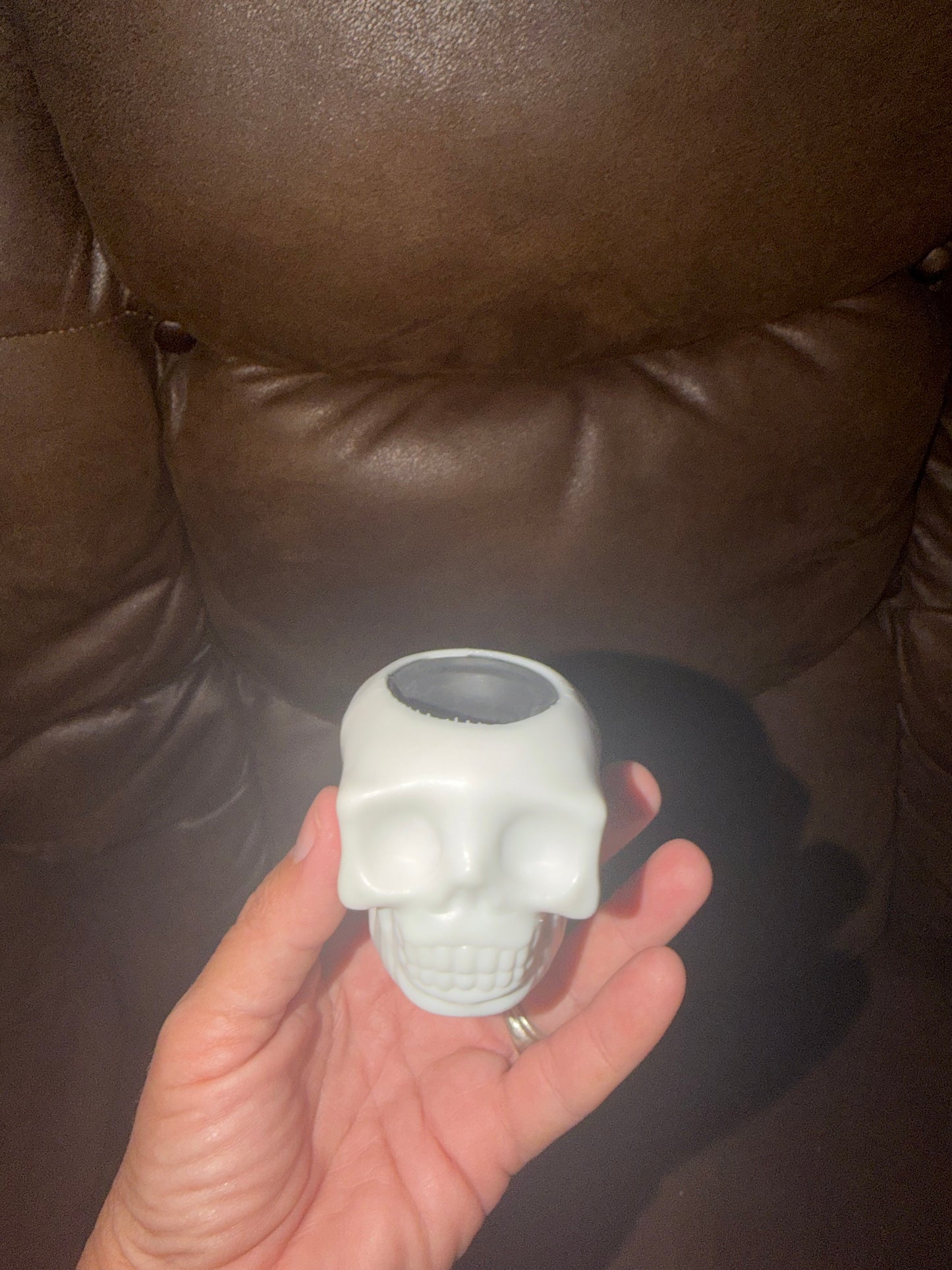 Squishy Skeleton Cat