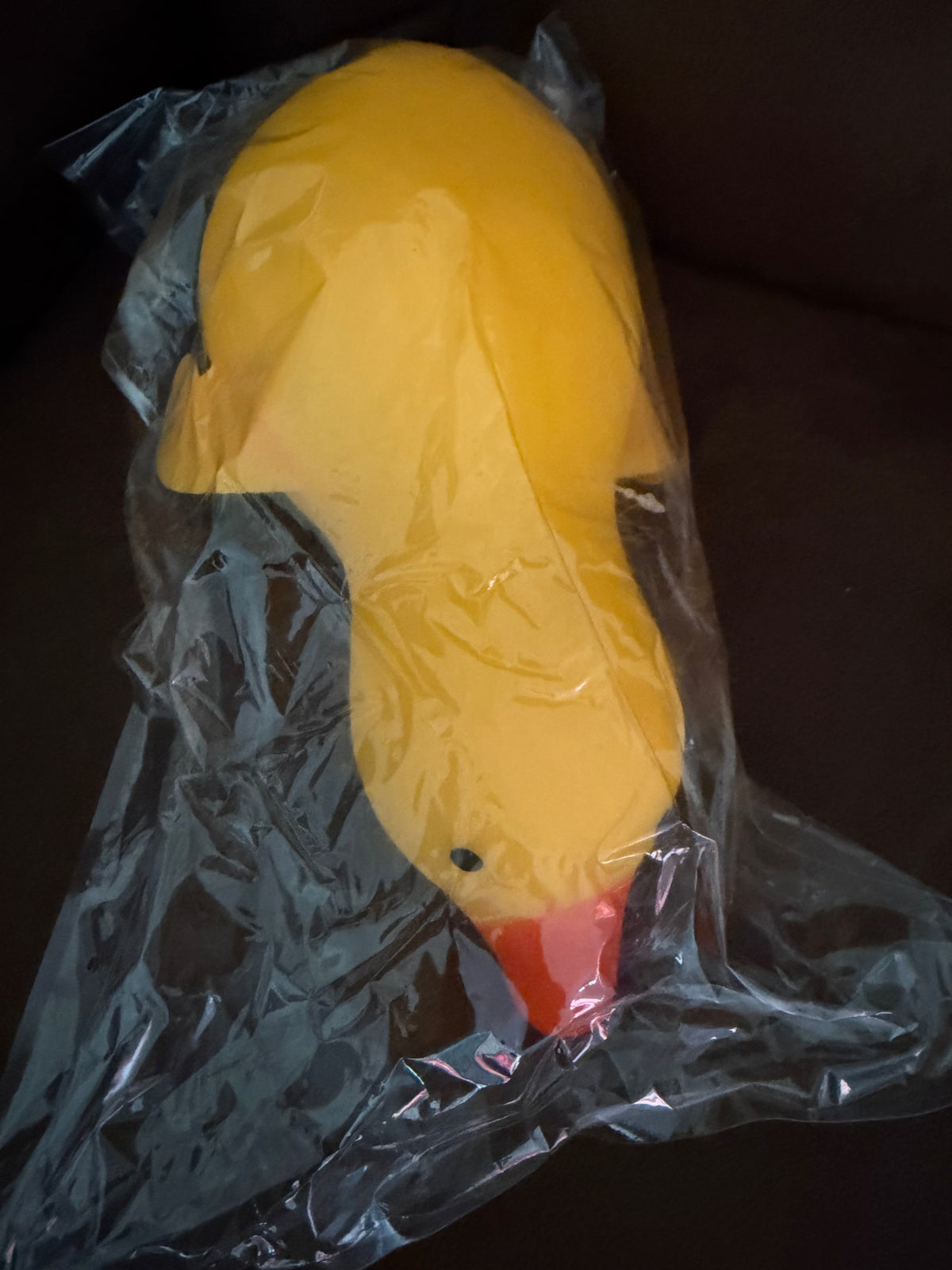 Duck Squishy