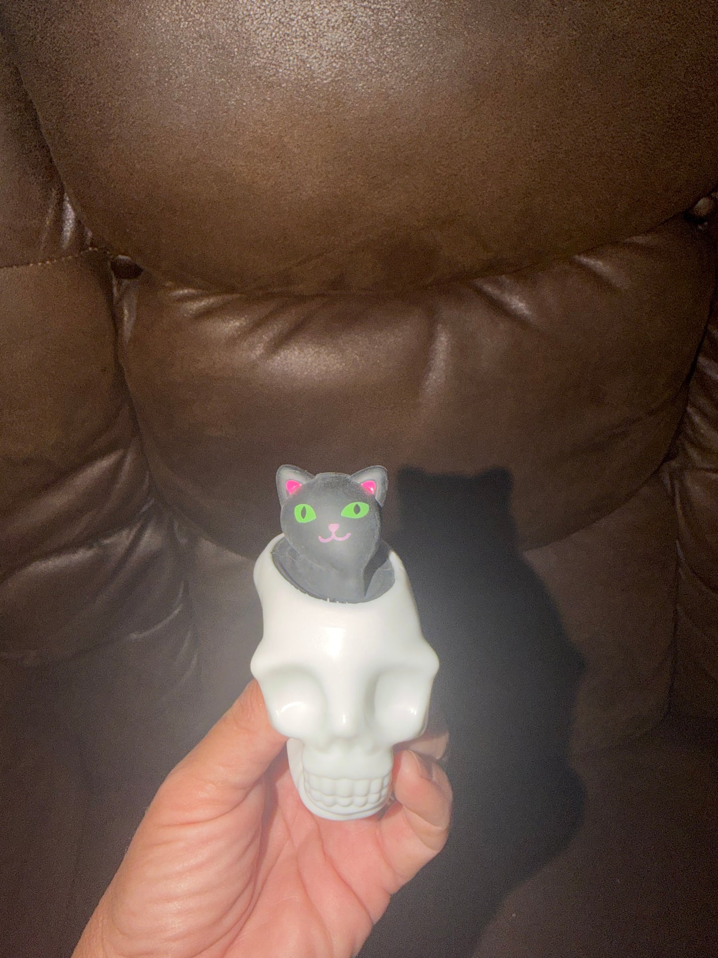 Squishy Skeleton Cat