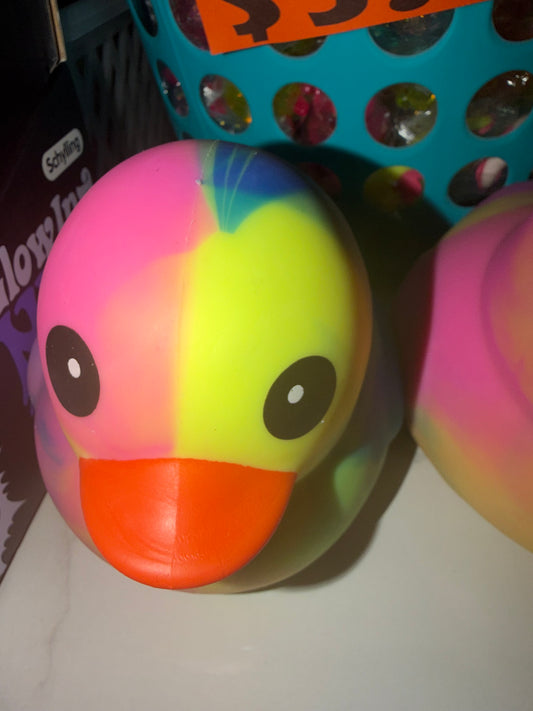 Squishy Duck