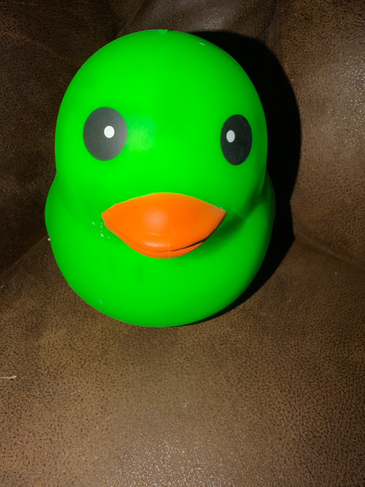 Green Duck Squishy